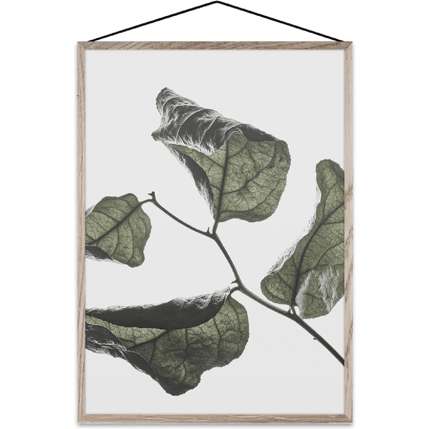 [product_category]-Paper Collective Floating Leaves 03 Map, A4-Paper Collective-5713450003839-08120-PAP-1