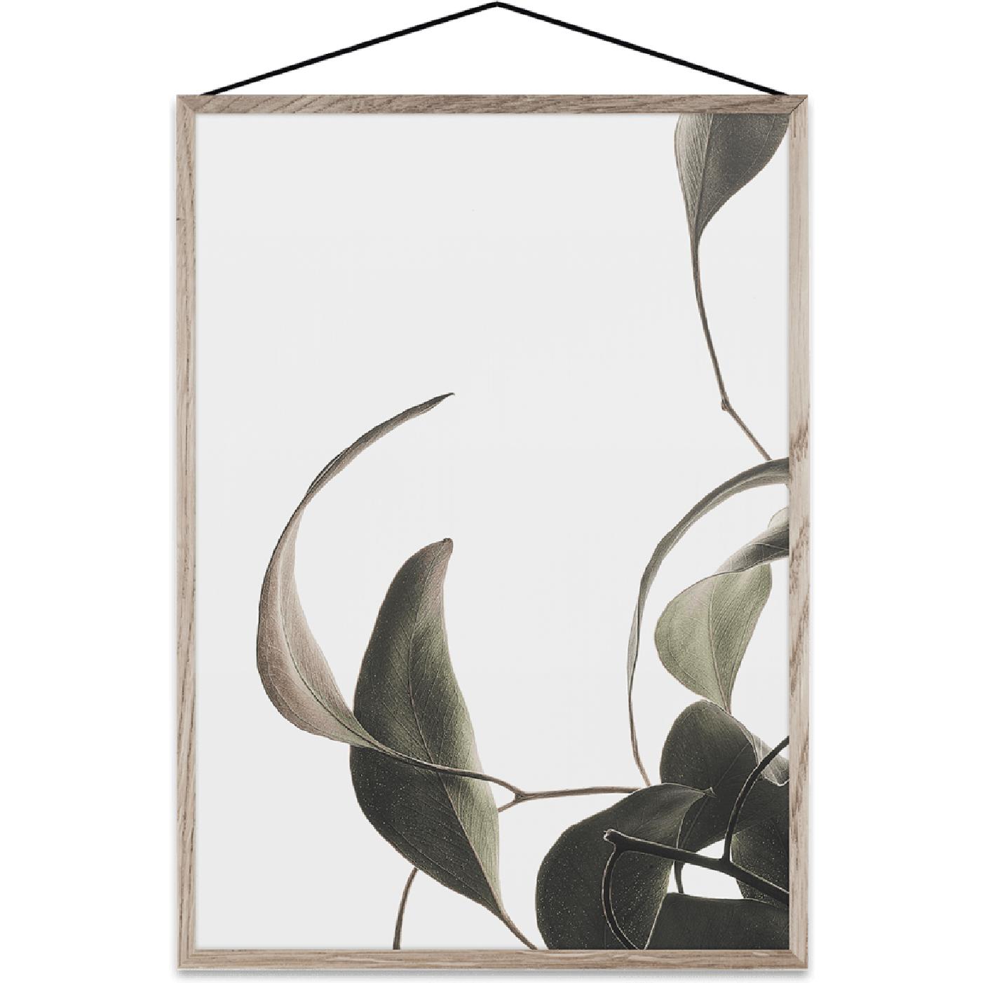 [product_category]-Paper Collective Floating Leaves 08 Map, A4-Paper Collective-5713450003983-08135-PAP-1
