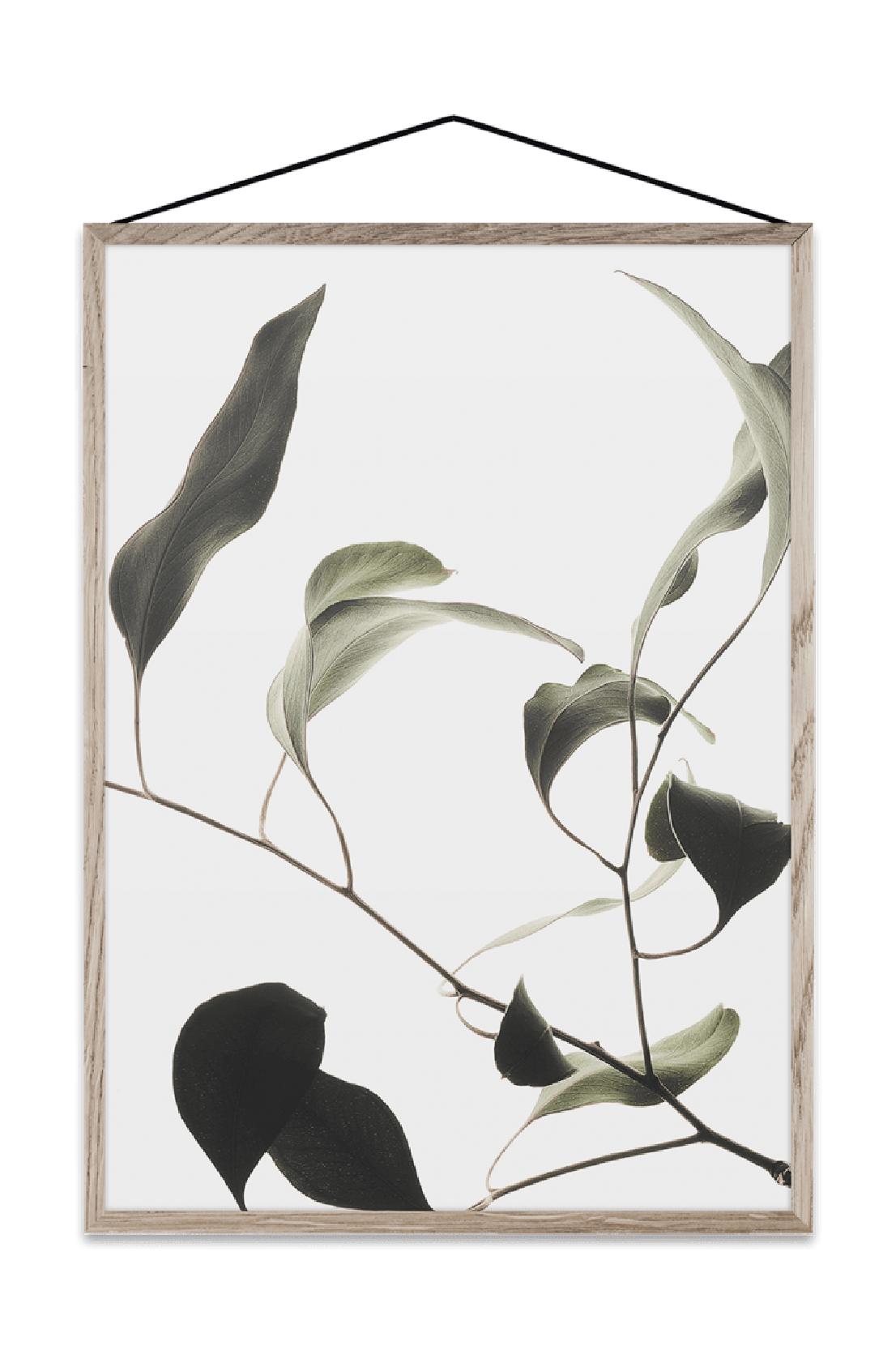 [product_category]-Paper Collective Floating Leaves 09 Map, A2-Paper Collective-5713450005277-08142-PAP-1
