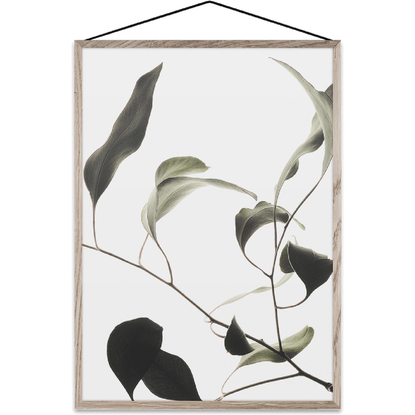 [product_category]-Paper Collective Floating Leaves 09 Map, A4-Paper Collective-5713450004010-08138-PAP-1