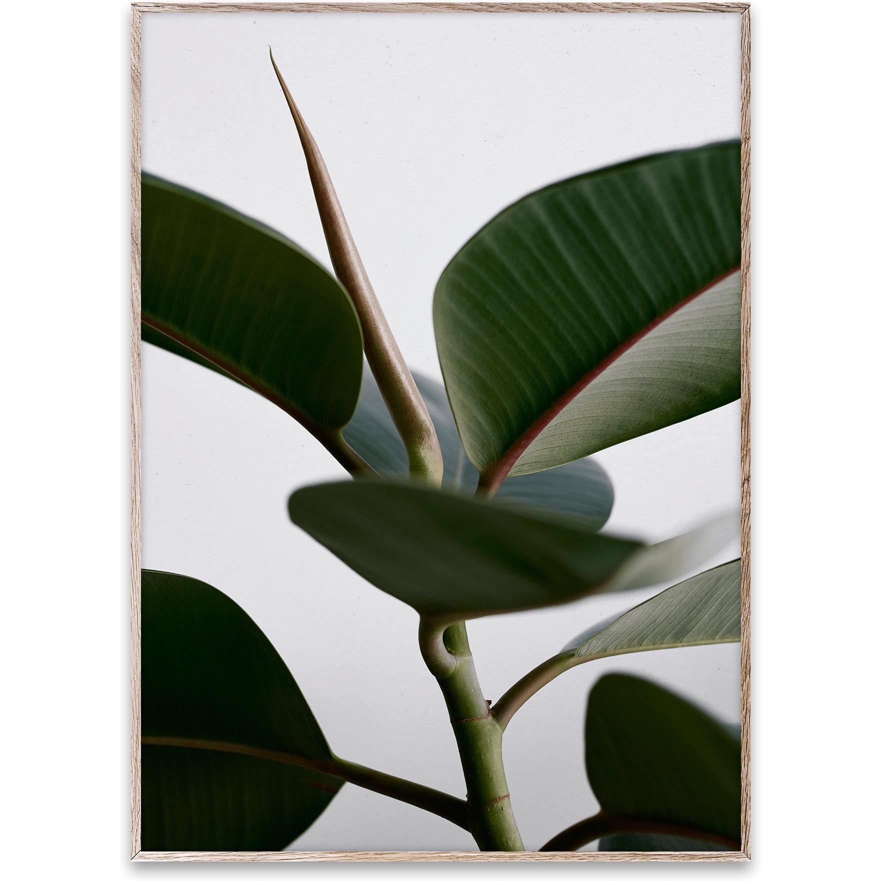 [product_category]-Paper Collective Green Home 02 Poster, 50x70 Cm-Paper Collective-5713450003624-8108-PAP-1
