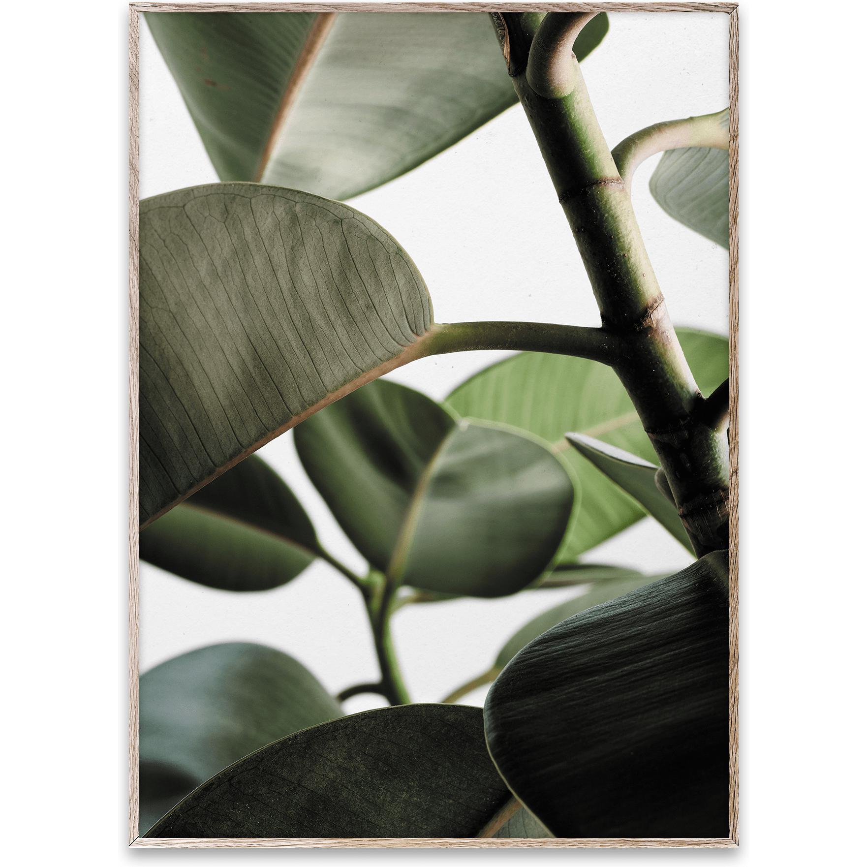 [product_category]-Paper Collective Green Home 03 Poster, 50x70 Cm-Paper Collective-5713450004591-09108-PAP-1