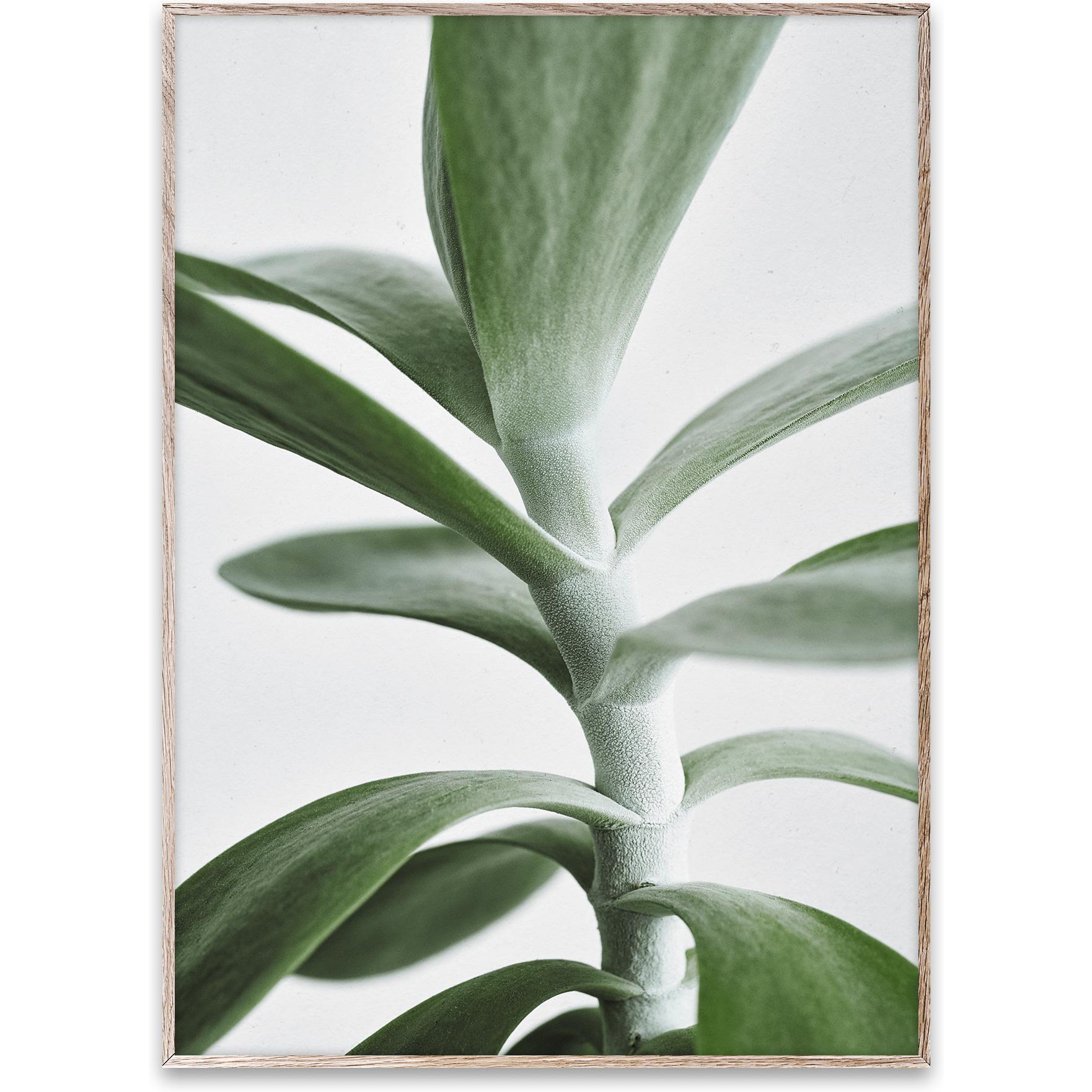 [product_category]-Paper Collective Green Home 04 Poster, 30x40 Cm-Paper Collective-5713450004607-09109-PAP-1