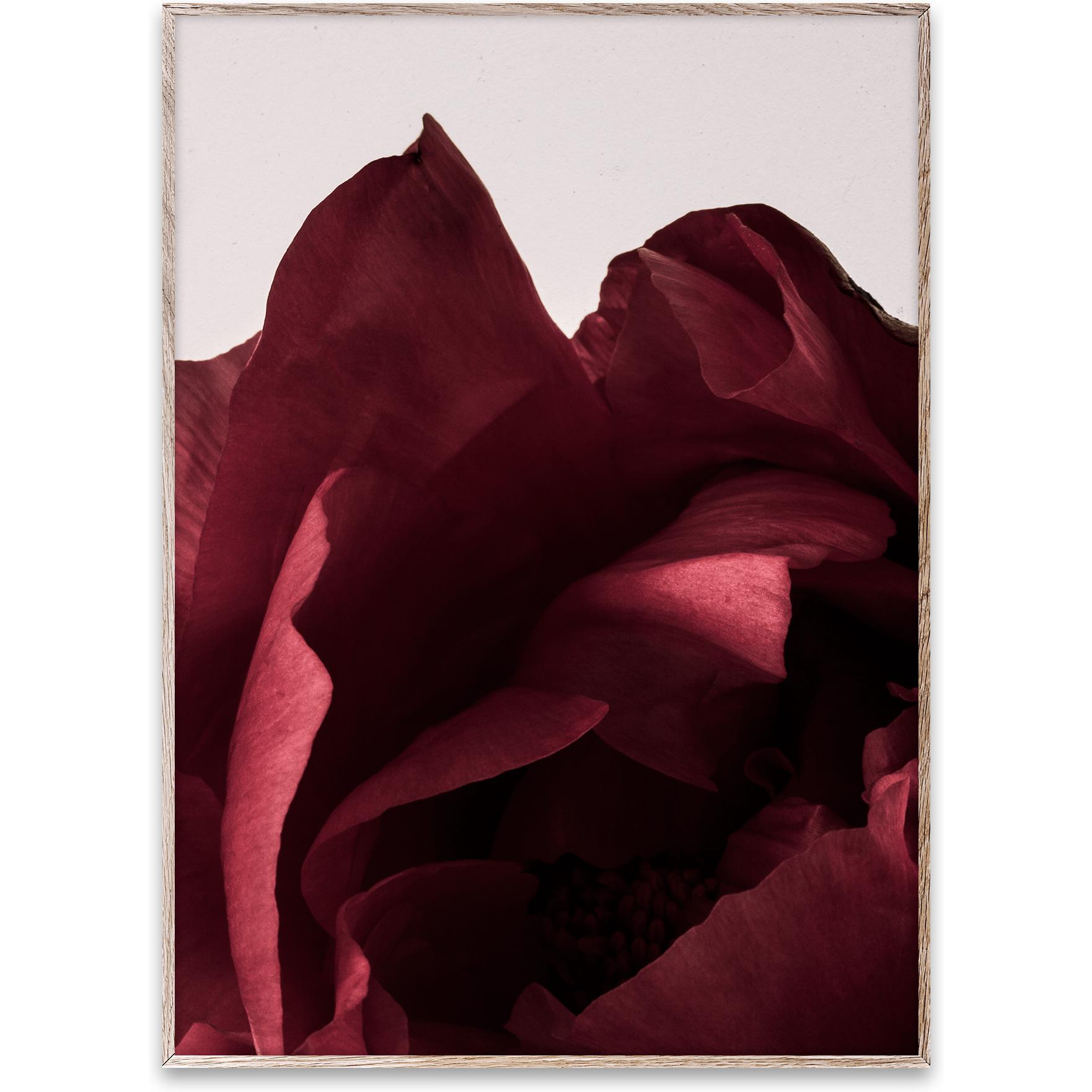 [product_category]-Paper Collective Peonia 03 Poster, 30x40 Cm-Paper Collective-5713450004560-09105-PAP-1