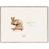  Rocky The Rabbit Poster 30x40 cm