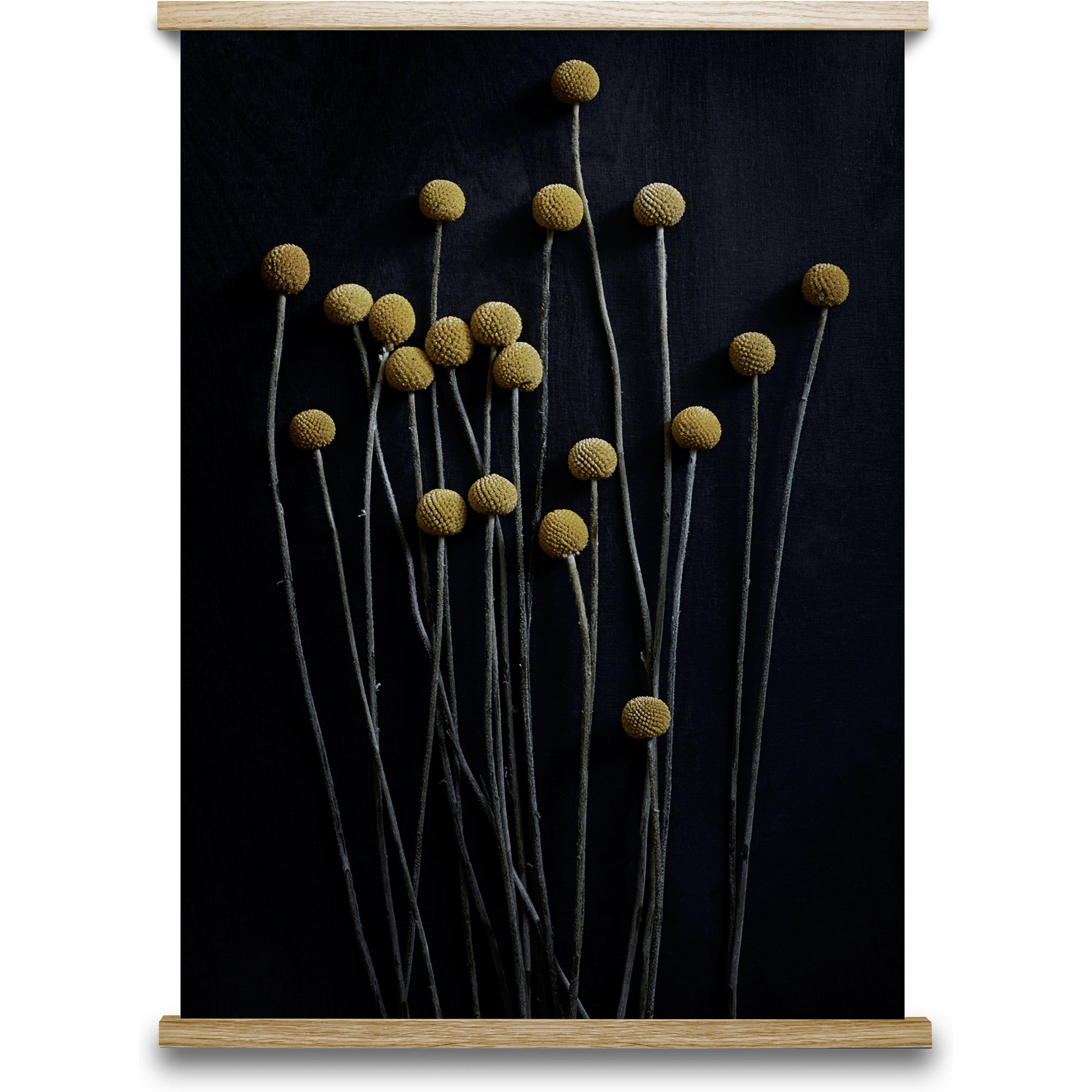 [product_category]-Paper Collective Still Life 01 Poster, 50x70 Cm-Paper Collective-5713450002504-7102-PAP-1