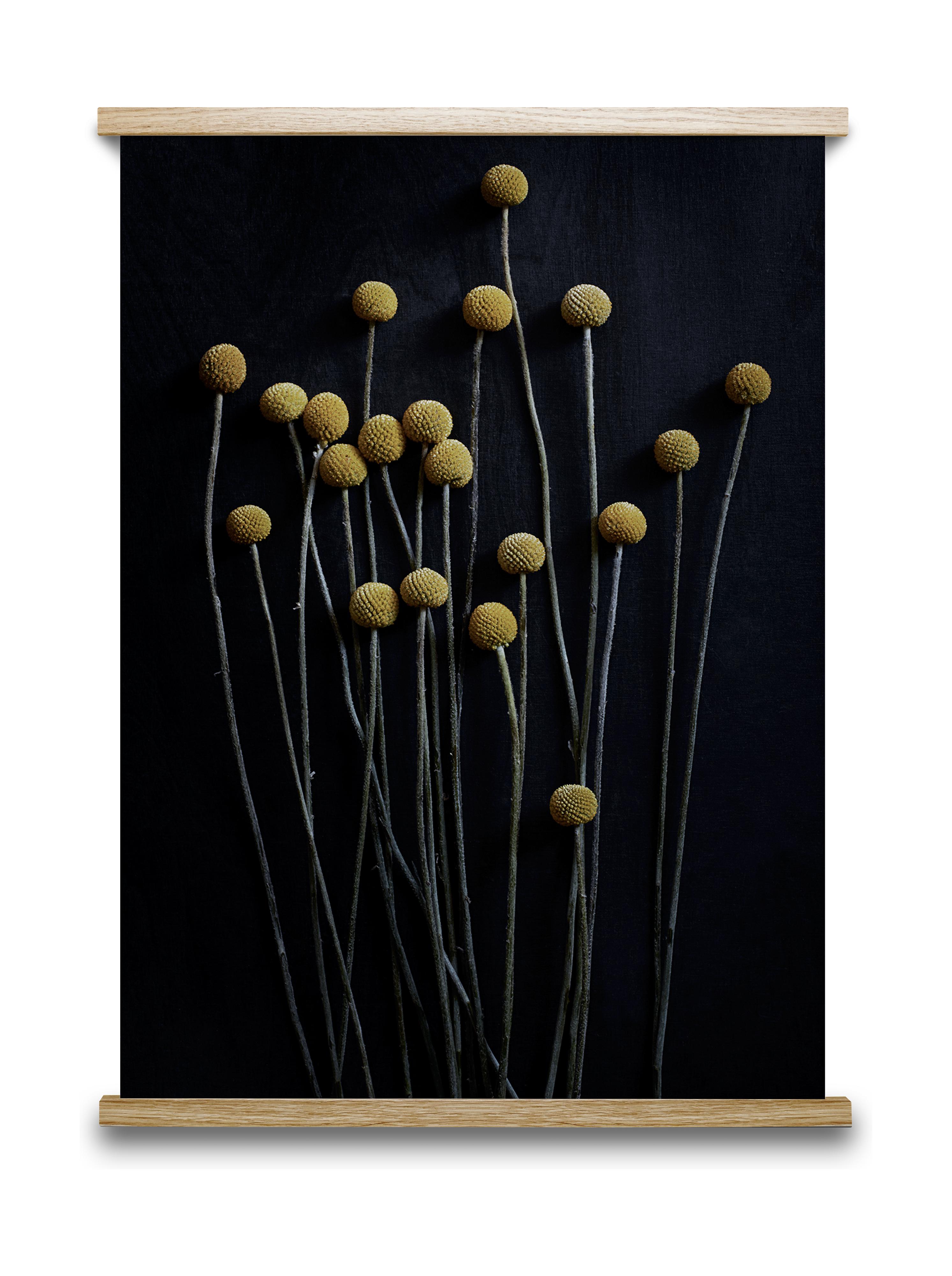 [product_category]-Paper Collective Still Life 01 Poster, 70x100 Cm-Paper Collective-5713450009138-13126-PAP-1