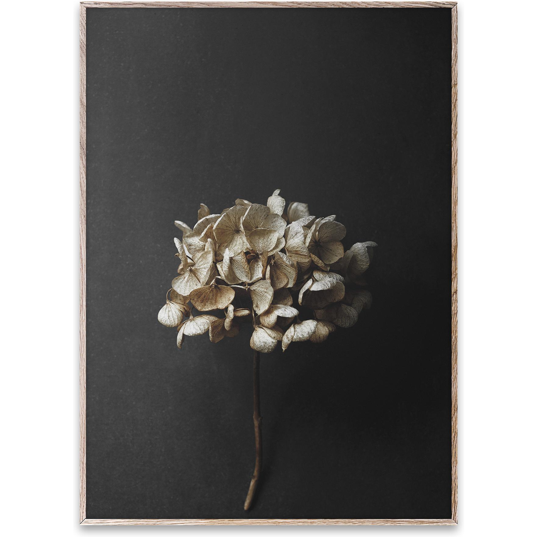 [product_category]-Paper Collective Still Life 04 Poster, 30x40 Cm-Paper Collective-5713450004621-09111-PAP-1