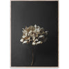 Papir Collective Still Life 04 Plakat, 30x40 cm