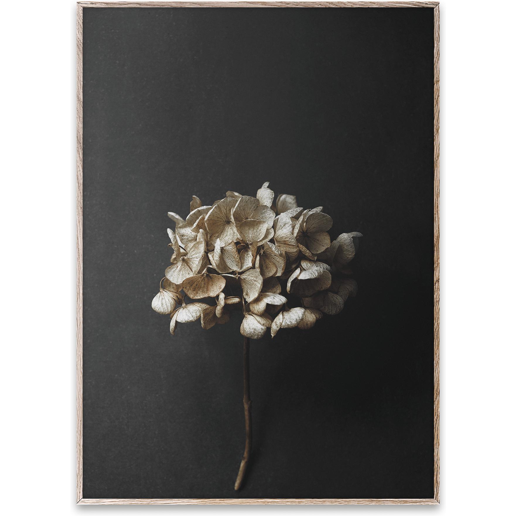[product_category]-Paper Collective Still Life 04 Poster, 50x70 Cm-Paper Collective-5713450004638-09112-PAP-1