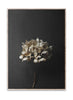 Papir Collective Still Life 04 Plakat, 70x100 cm