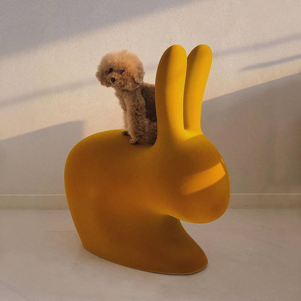 [product_category]-Qeeboo Bunny Chair Velvet Finish, Violet-Qeeboo-8052049053150-90010VI-QEE-11