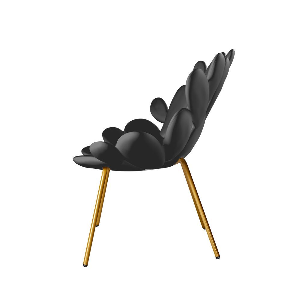 [product_category]-Qeeboo Filicudi Armchair By Marcantonio, Black/Brass-Qeeboo-8052049054829-17001BL-BR-QEE-3