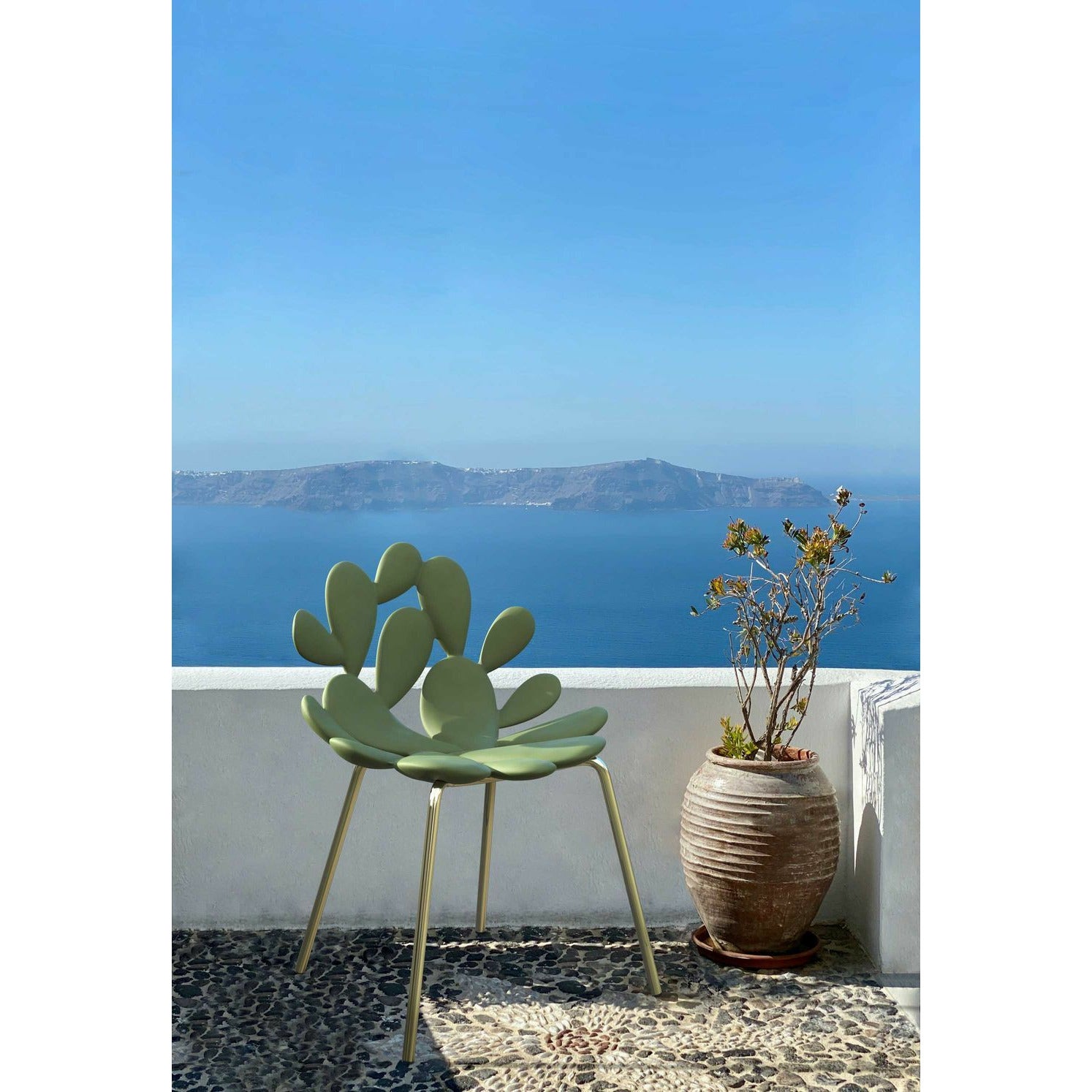 [product_category]-Qeeboo Filicudi Chair Filicudi Armchair By Marcantonio Set Of 2, Balm Green/Brass-Qeeboo-8052049055604-17002BG-BR-QEE-6