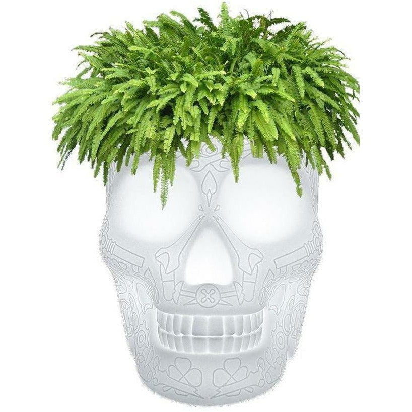 [product_category]-Qeeboo Mexico Planter And Champagne Cooler Floor Lamp-Qeeboo-8052049051330-70009LED-QEE-1