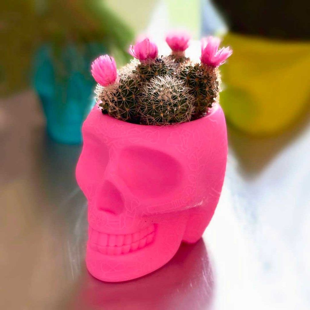 [product_category]-Qeeboo Mexico Planter And Pen Holder Xs, Bright Pink-Qeeboo-8052049055079-70010BP-QEE-4