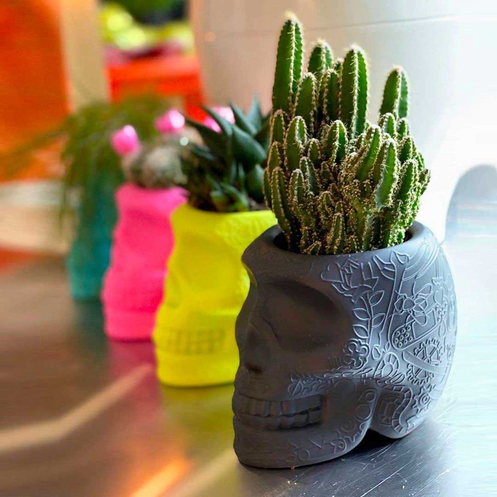 [product_category]-Qeeboo Mexico Planter And Pen Holder Xs, Lime-Qeeboo-8052049055055-70010LE-QEE-2