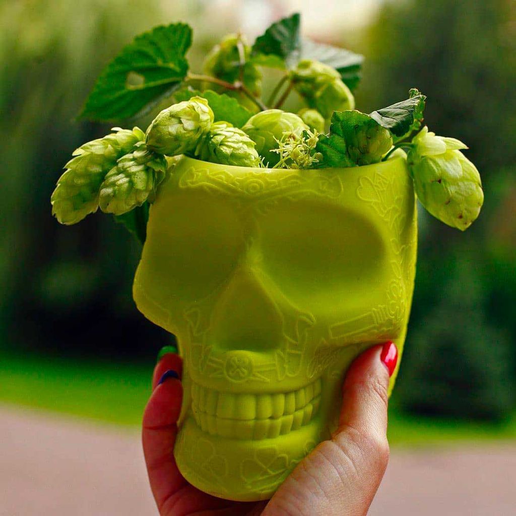 [product_category]-Qeeboo Mexico Planter And Pen Holder Xs, Lime-Qeeboo-8052049055055-70010LE-QEE-3