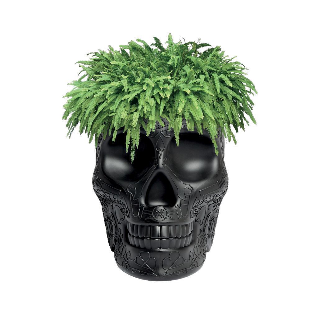 [product_category]-Qeeboo Mexico Planter/Champagne Cooler, Black-Qeeboo-8052049051132-70007BL-QEE-2