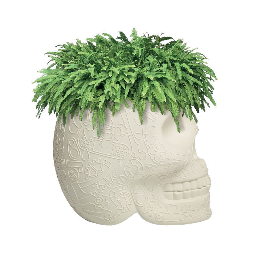 [product_category]-Qeeboo Mexico Planter/Champagne Cooler, Ivory-Qeeboo-8052049051149-70007AV-QEE-3