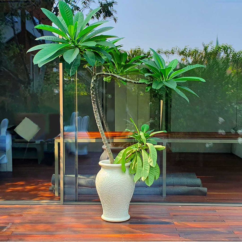[product_category]-Qeeboo Ming Planter/Champagne Cooler By Studio Job, Black-Qeeboo-8052049052023-71001BL-QEE-3