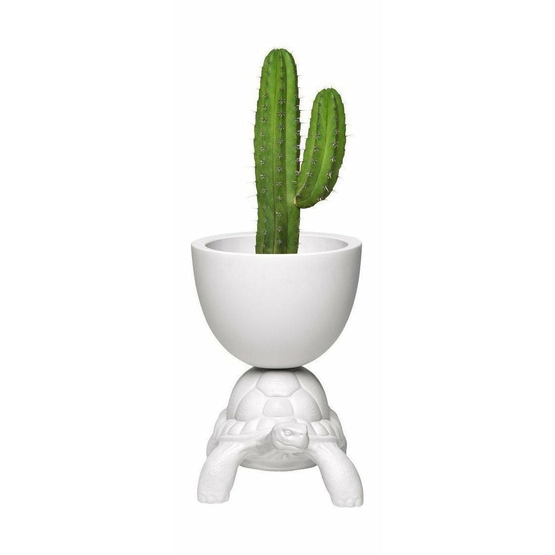 [product_category]-Qeeboo Turtle Carry Flowerpot And Champagne Cooler, White-Qeeboo-8052049055642-36004WH-QEE-1
