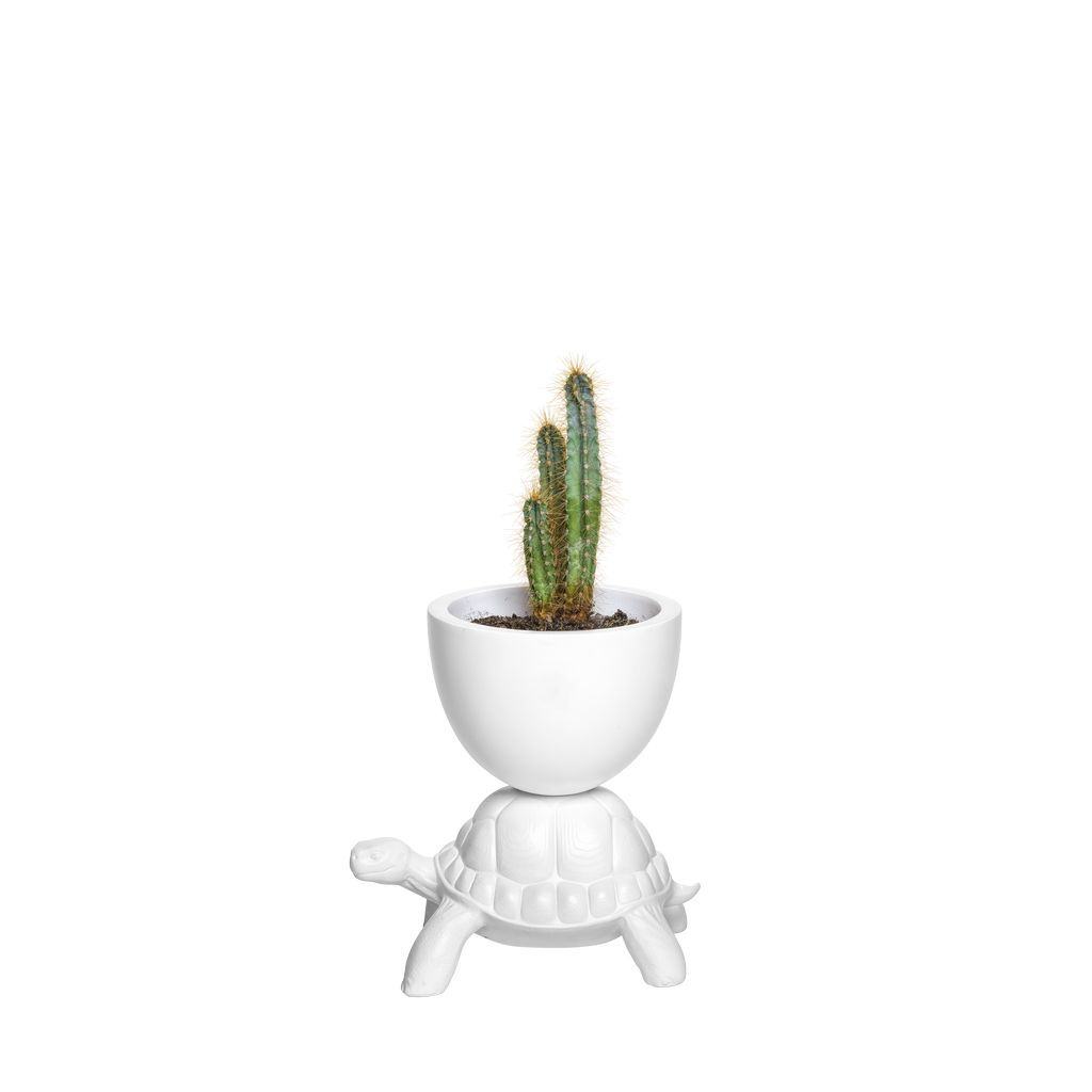 [product_category]-Qeeboo Turtle Carry Flowerpot Xs, White-Qeeboo-8052049056366-36008VS-QEE-2