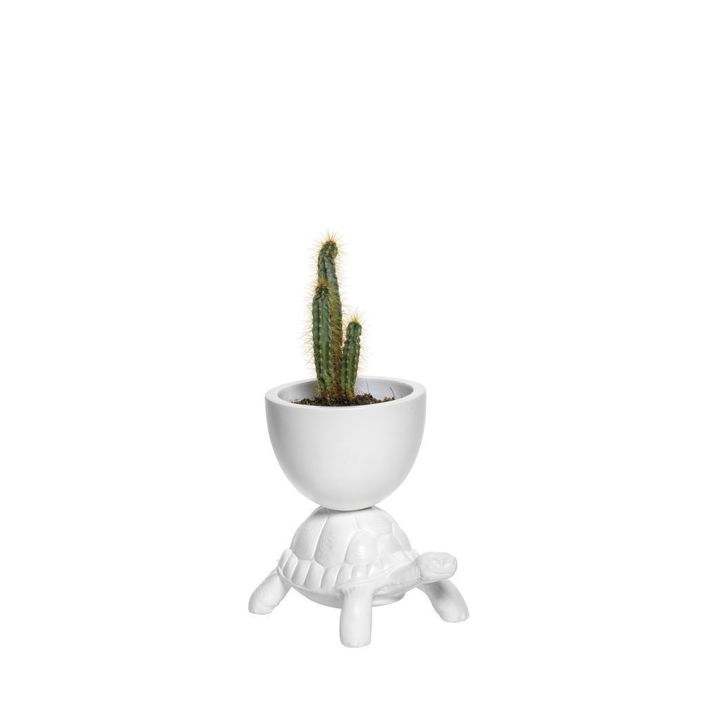[product_category]-Qeeboo Turtle Carry Flowerpot Xs, White-Qeeboo-8052049056366-36008VS-QEE-3