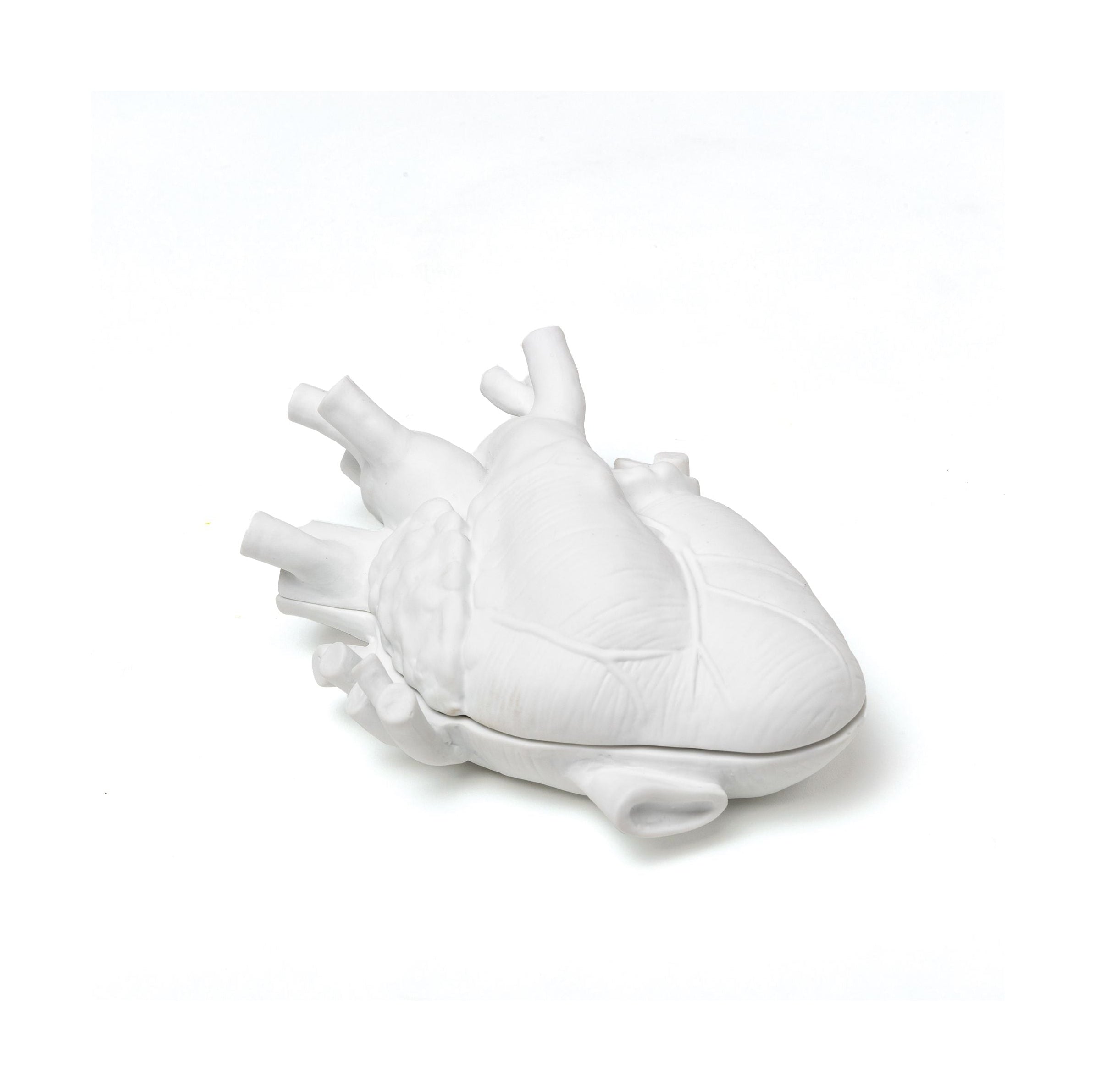 [product_category]-Seletti Love In Bloom Box-Seletti-8008215099286-09928-SEL-1