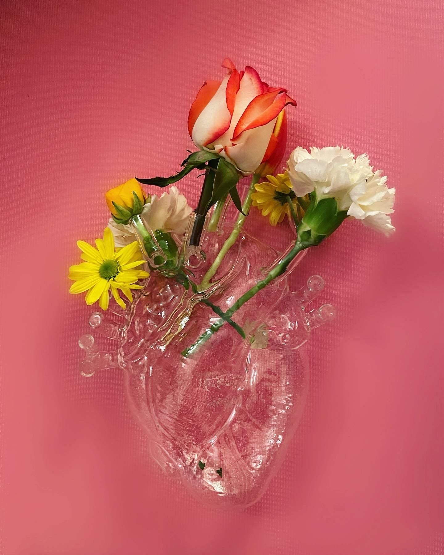 [product_category]-Seletti Love In Bloom Vase, Clear-Seletti-8008215099224-09922-SEL-6