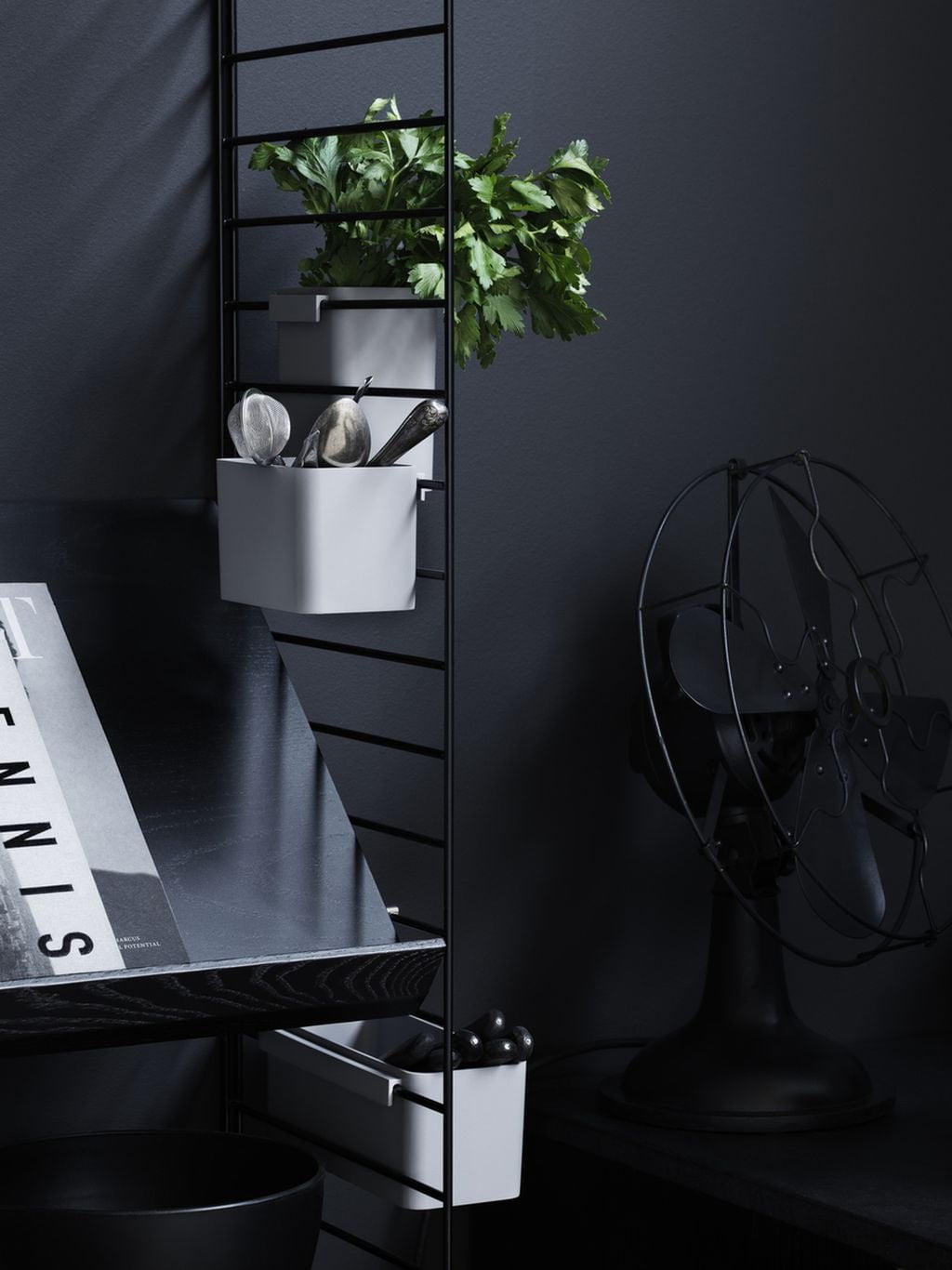 [product_category]-String Furniture String System Magazine Tray Wood Black Stained Ash, 30x78 Cm-String Furniture-7350038271914-WM7830-03-1-STR-3