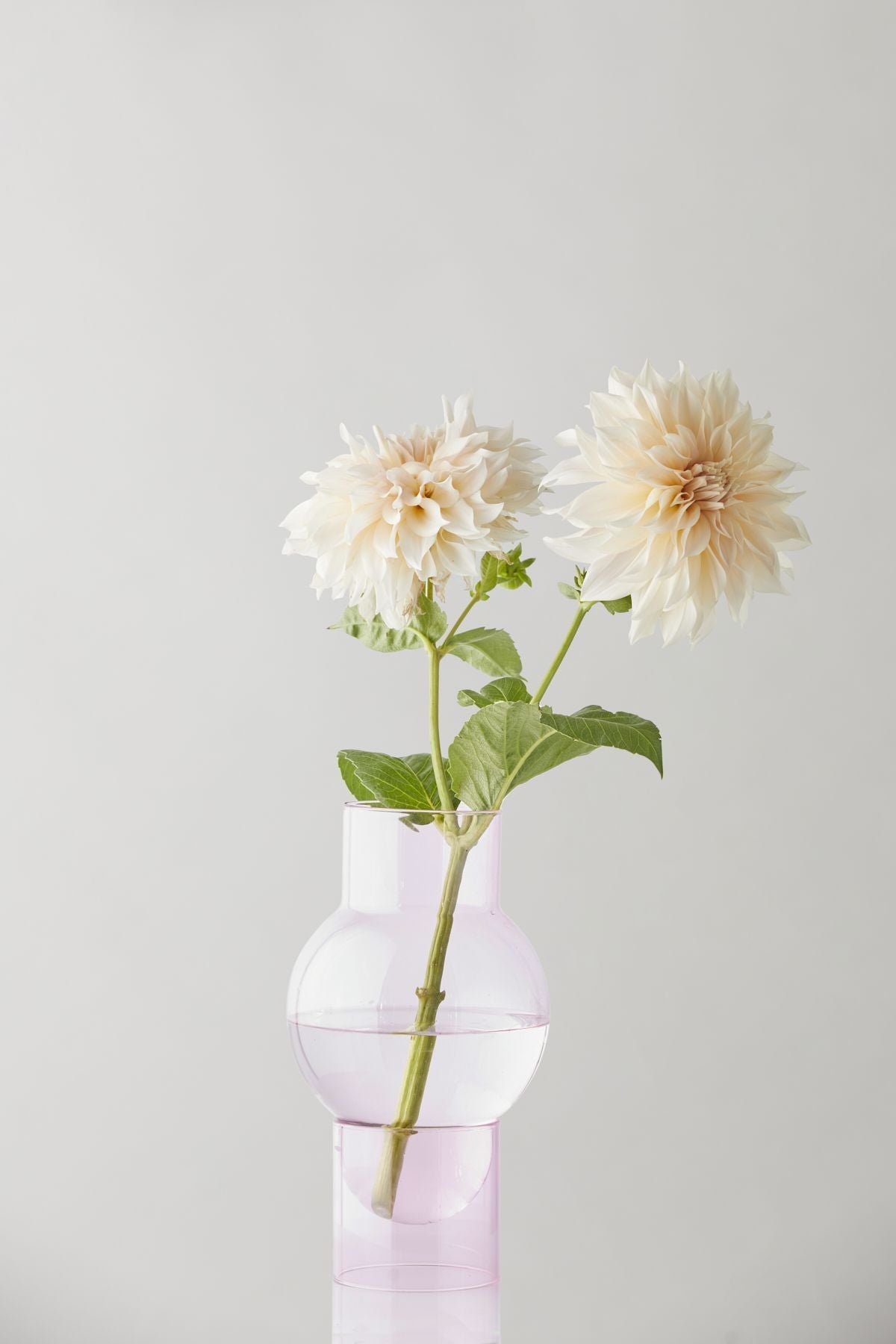 [product_category]-Studio About Bubble Tube Vase, Rose-Studio About-5714356013021-90270R-STU-4