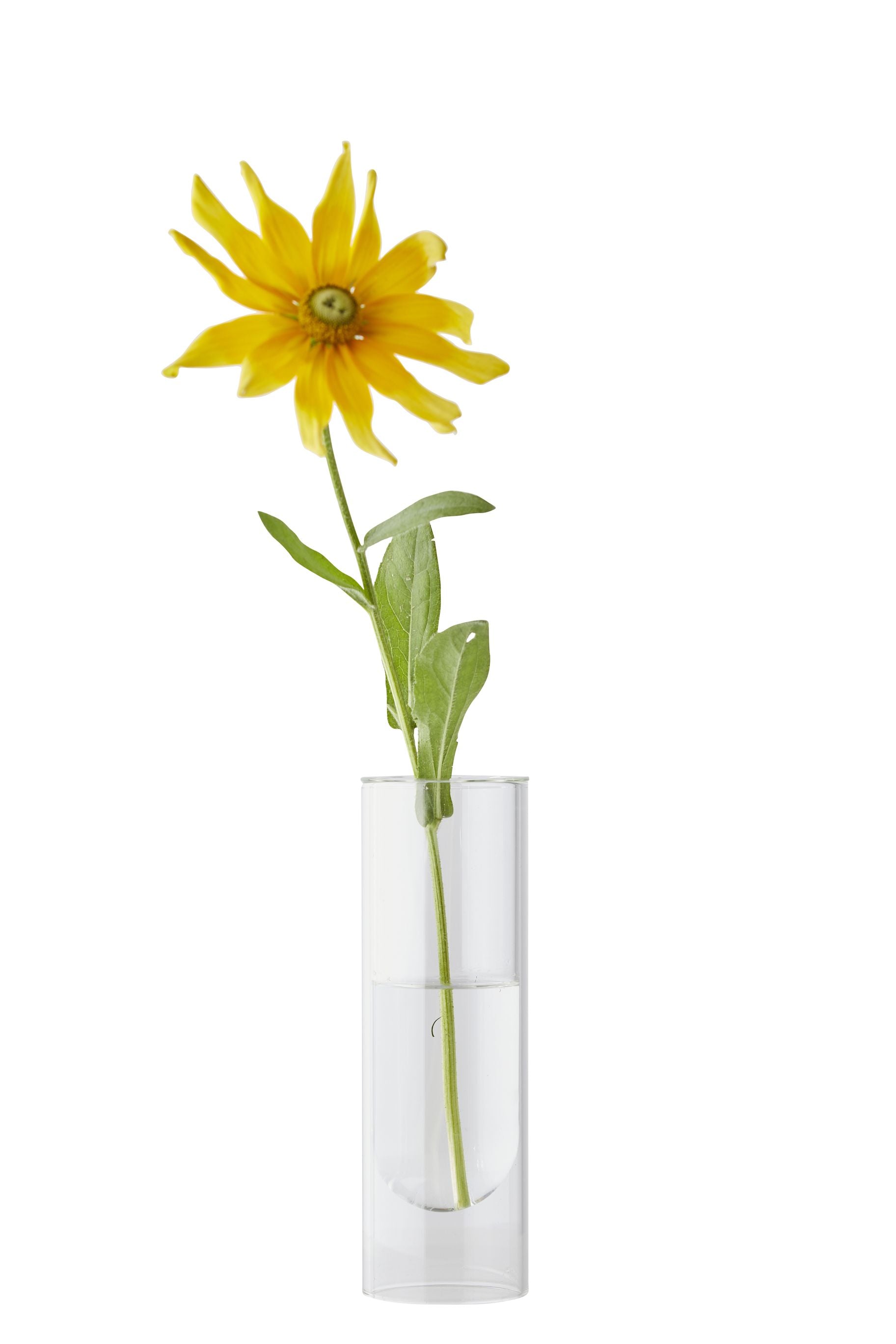 [product_category]-Studio About Flower Tube Vase 20 Cm, Transparent-Studio About-5714356007037-65200T-STU-1