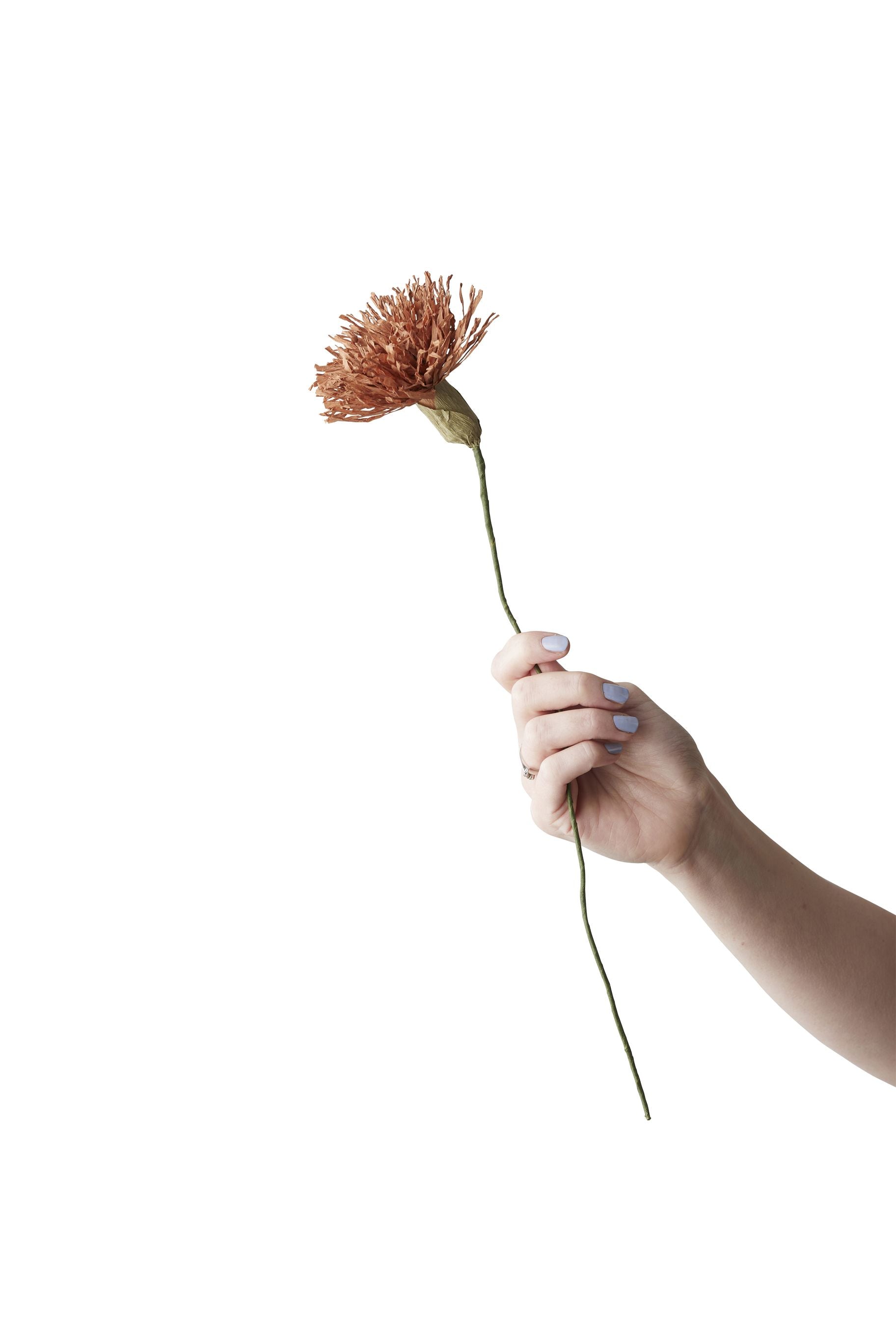 [product_category]-Studio About Paper Flower Chrysanthemum, Dark Ochre-Studio About-5714356014325-100420DO-STU-1