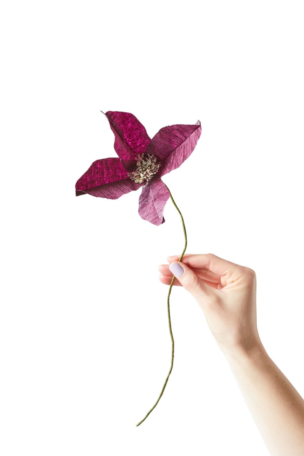 [product_category]-Studio About Paper Flower Clematis, Aubergine-Studio About-5714356014110-150440A-STU-1