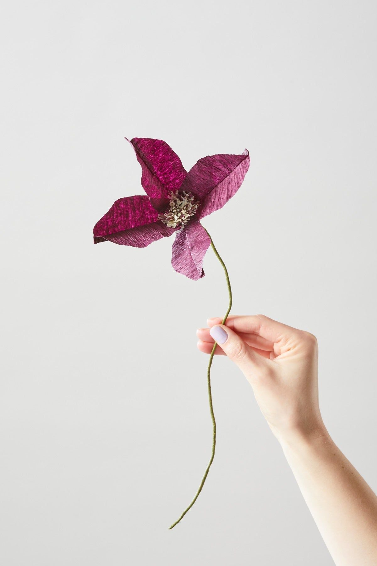 [product_category]-Studio About Paper Flower Clematis, Aubergine-Studio About-5714356014110-150440A-STU-2