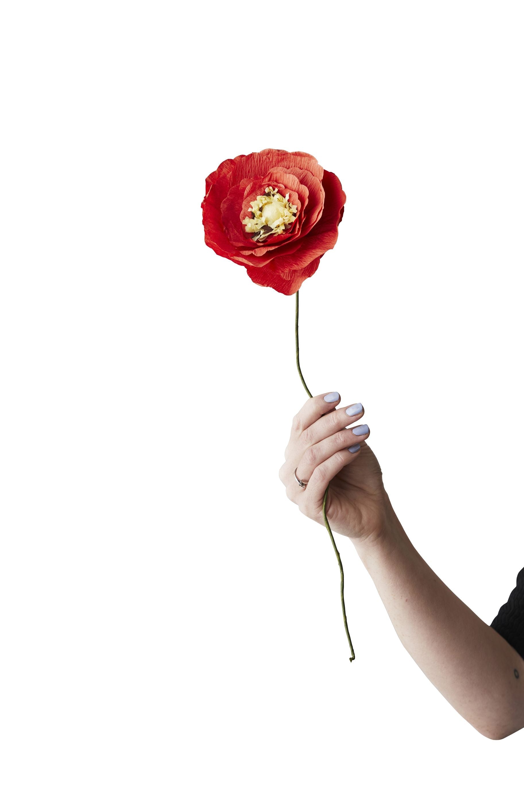[product_category]-Studio About Paper Flower Ice Poppy Bright, Red-Studio About-5714356014240-130440BR-STU-1