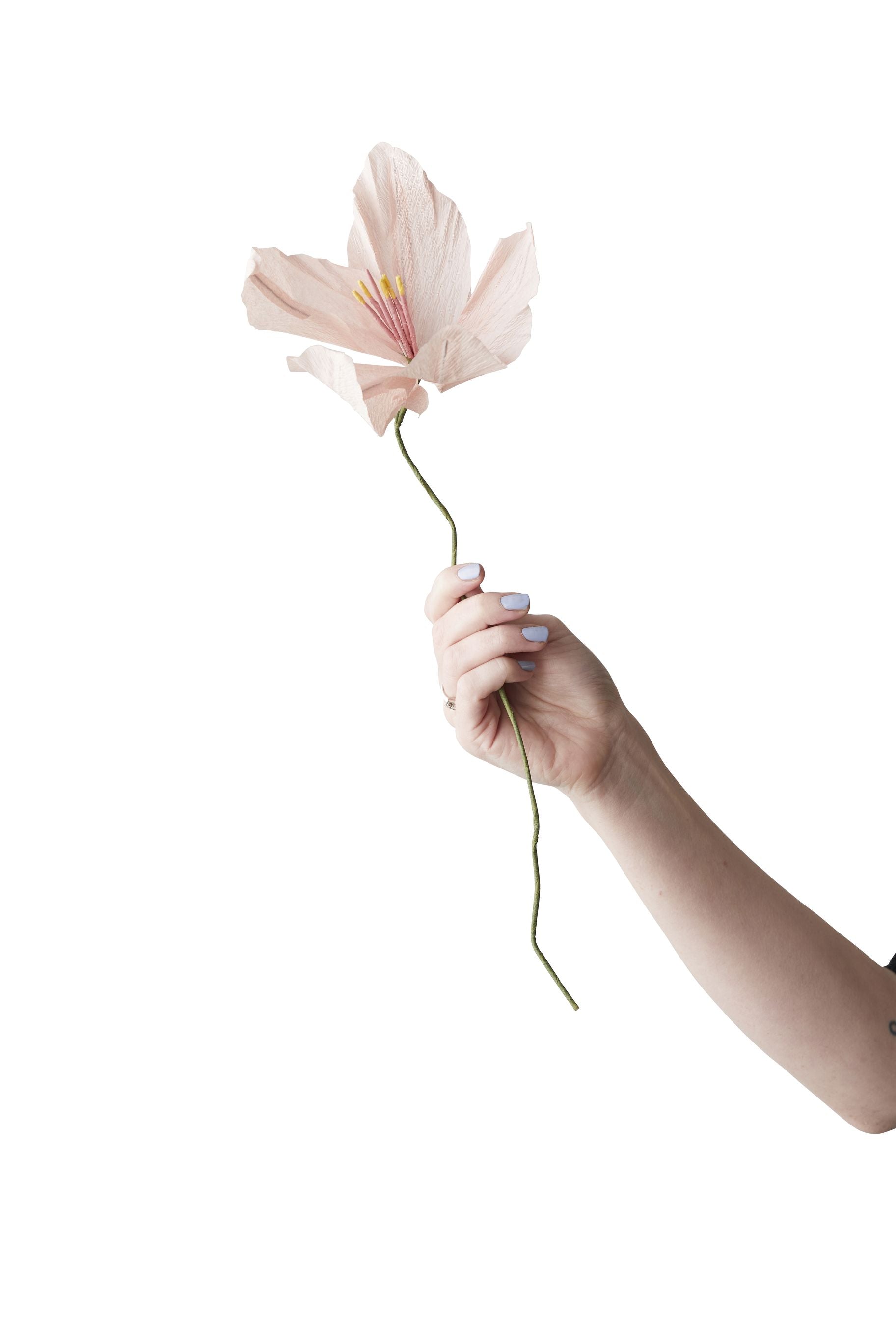 [product_category]-Studio About Paper Flower Lily, Rose-Studio About-5714356014288-200450R-STU-1