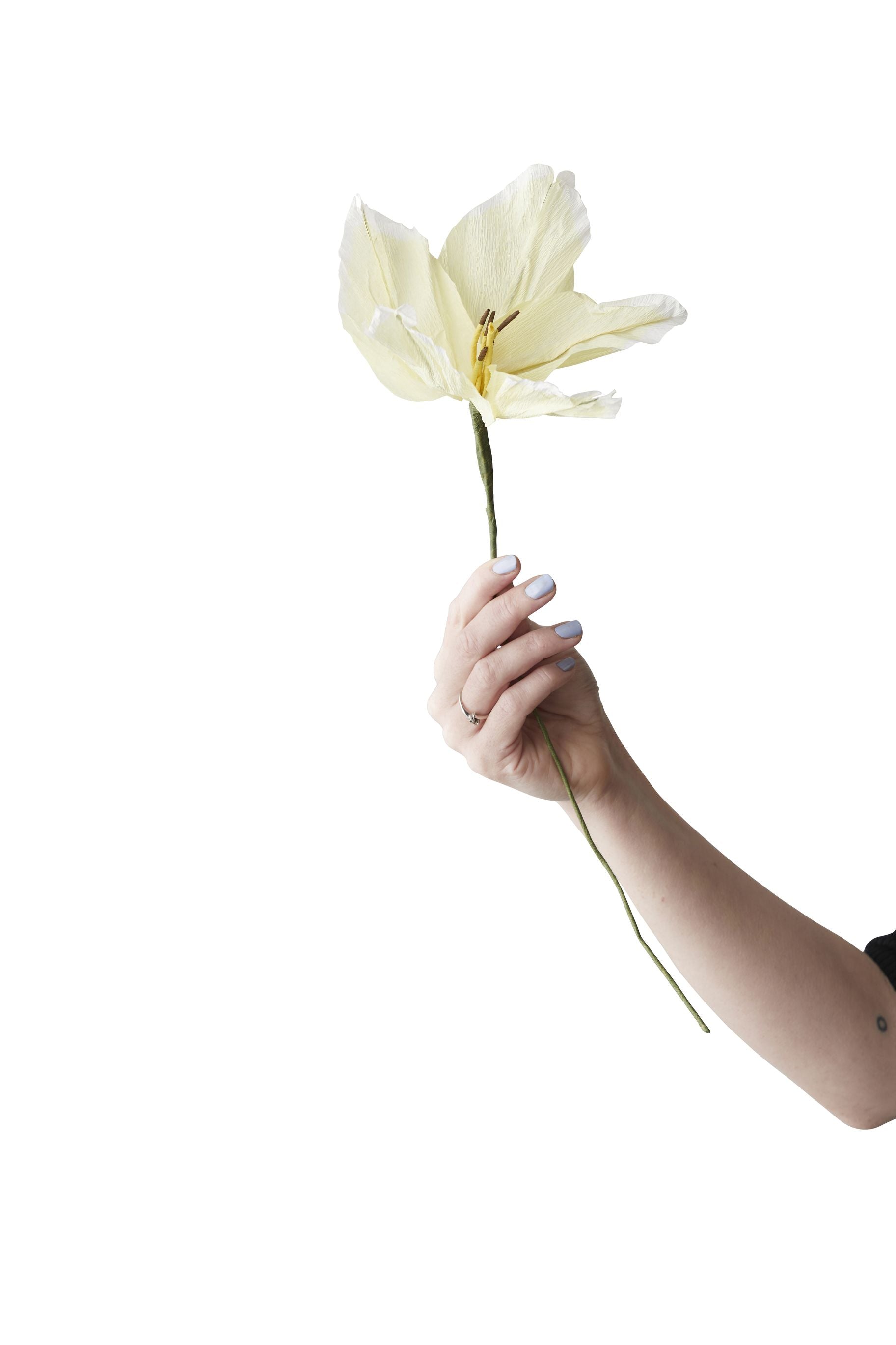 [product_category]-Studio About Paper Flower Lily, Yellow-Studio About-5714356014271-200450Y-STU-1