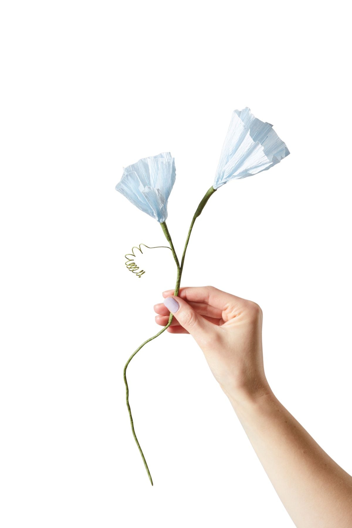 [product_category]-Studio About Paper Flower Morning Glory, Blue-Studio About-5714356014172-80430B-STU-1