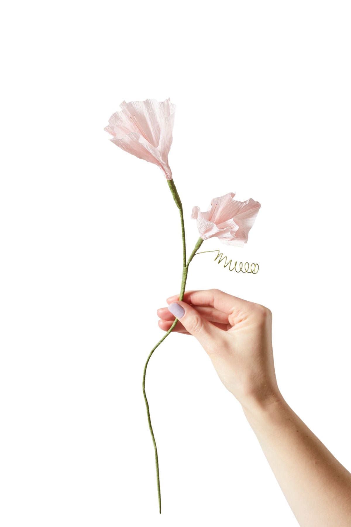 [product_category]-Studio About Paper Flower Morning Glory, Rose-Studio About-5714356014165-80430R-STU-1