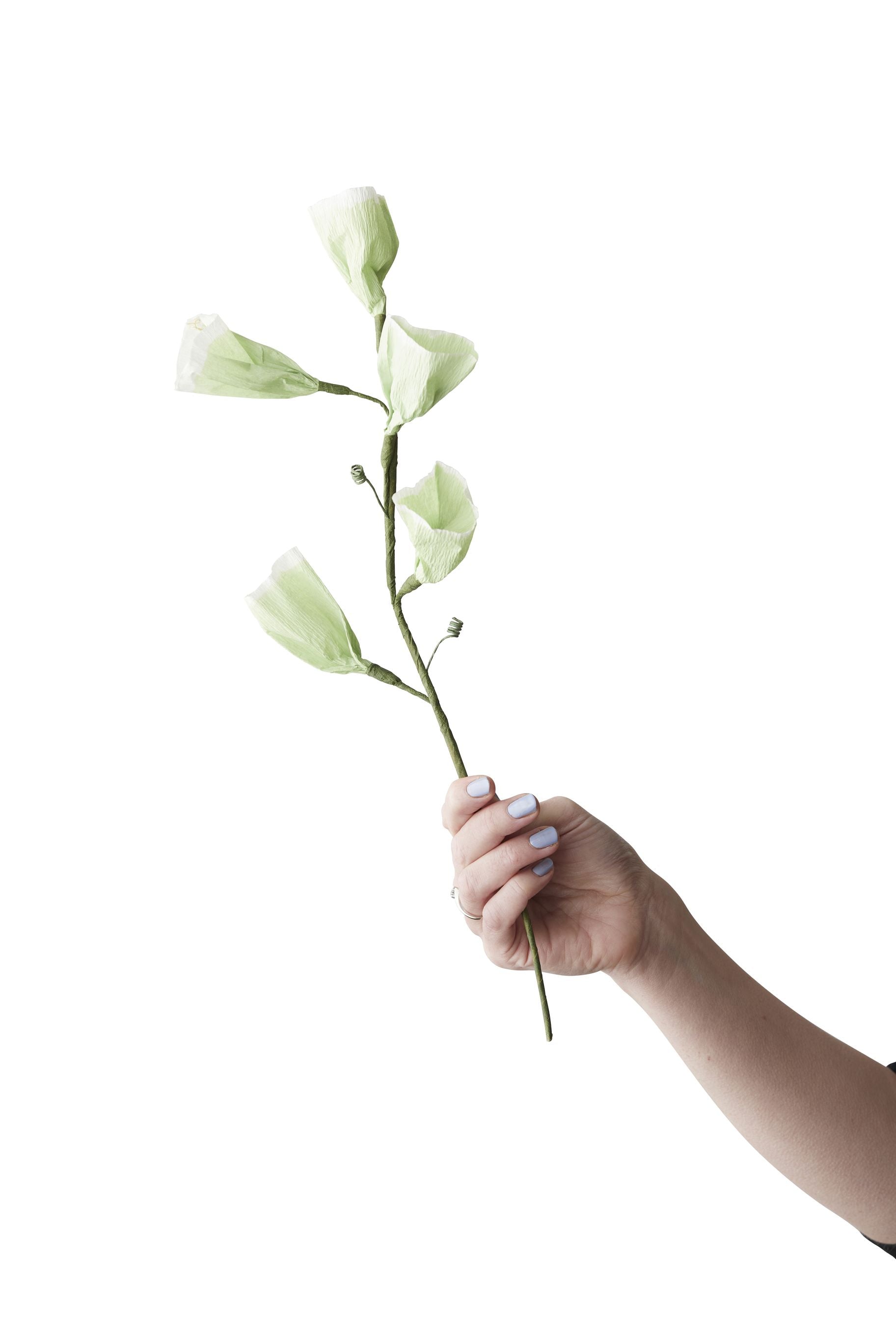 [product_category]-Studio About Paper Flower Tinkerbell, Green-Studio About-5714356014301-250550G-STU-1