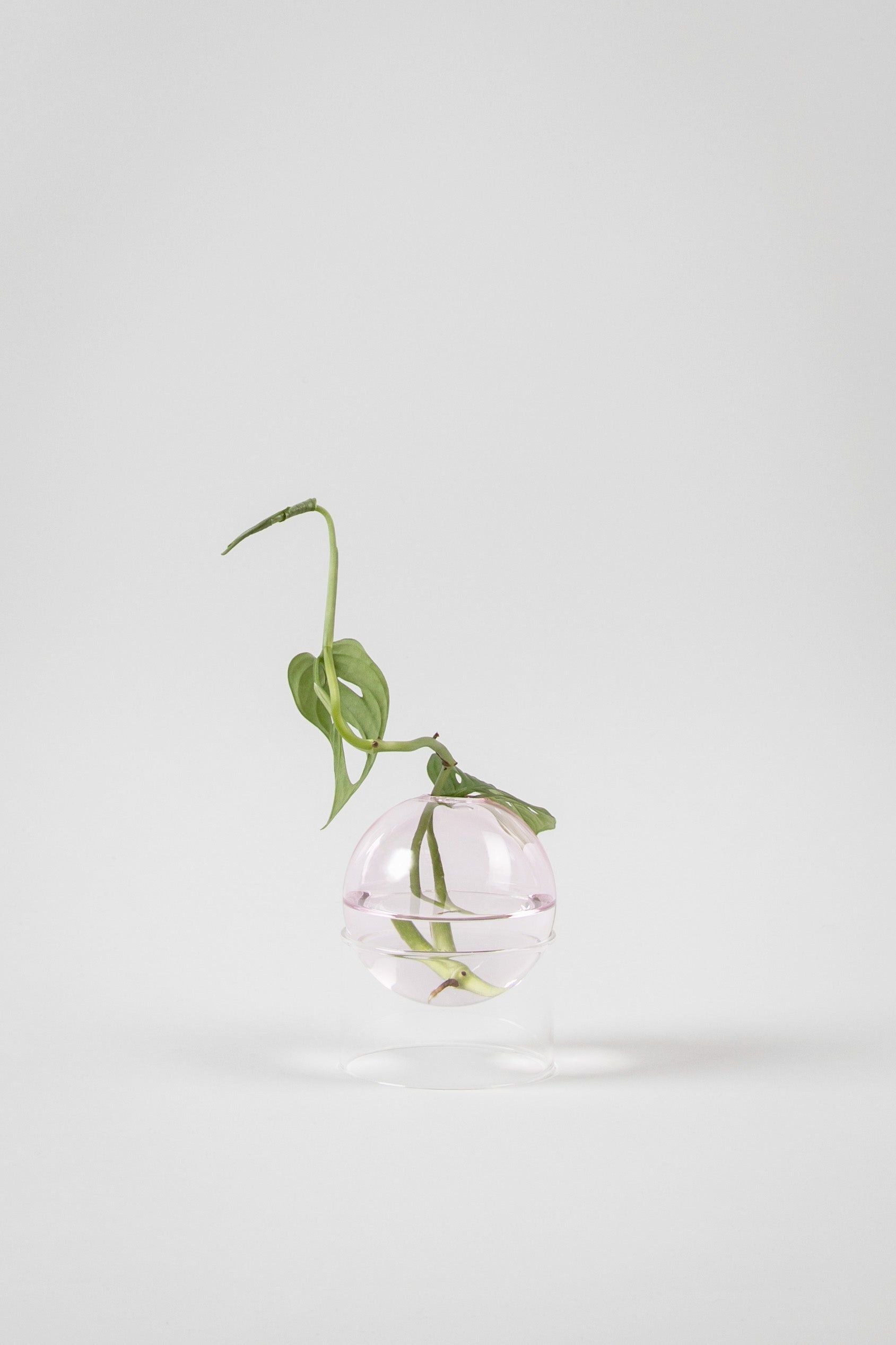 [product_category]-Studio About Standing Flower Bubble Vase 10 Cm, Rose-Studio About-5714356008041-802050R-STU-2