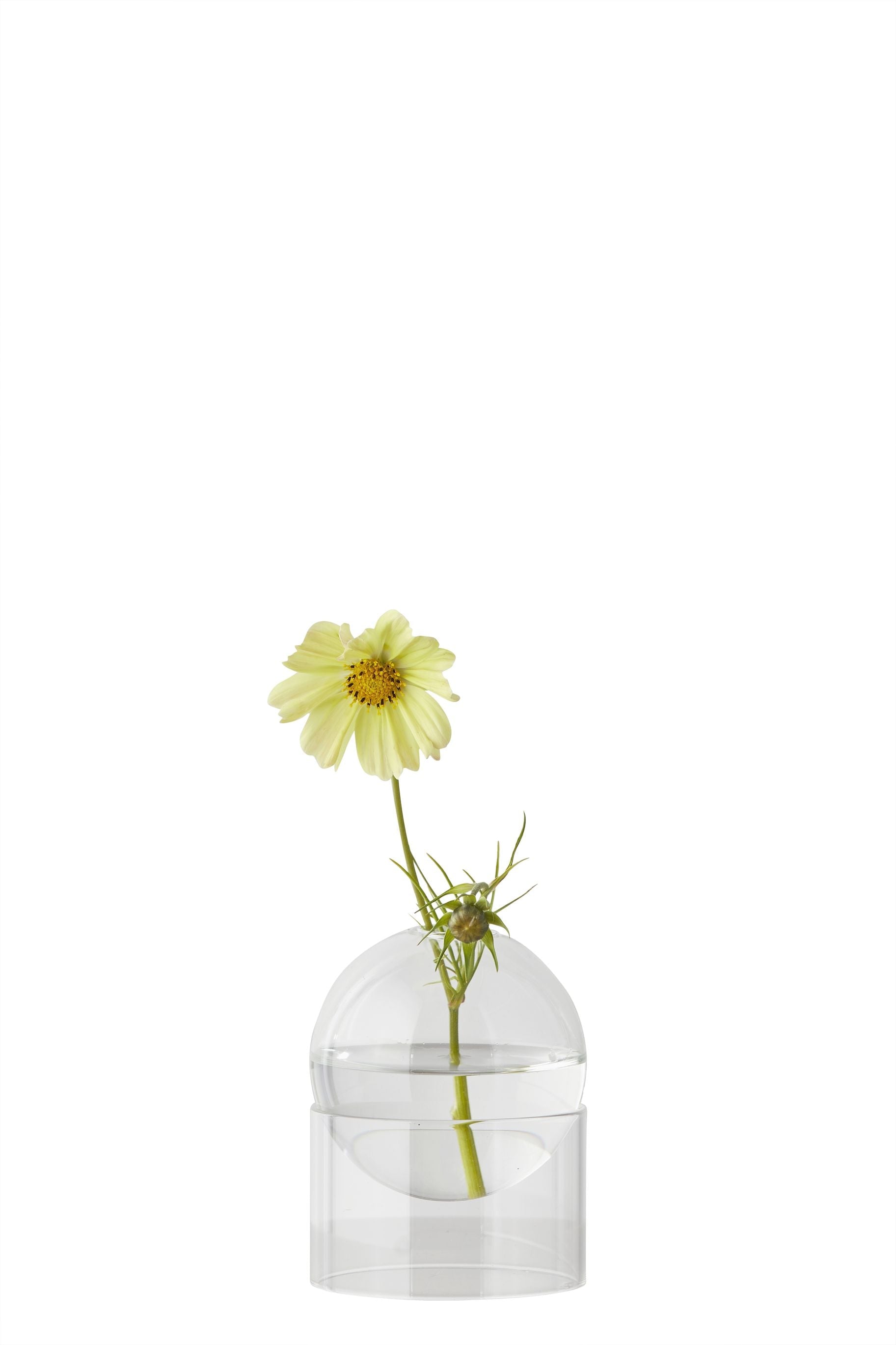 [product_category]-Studio About Standing Flower Bubble Vase 10 Cm, Transparent-Studio About-5714356008065-802050T-STU-1