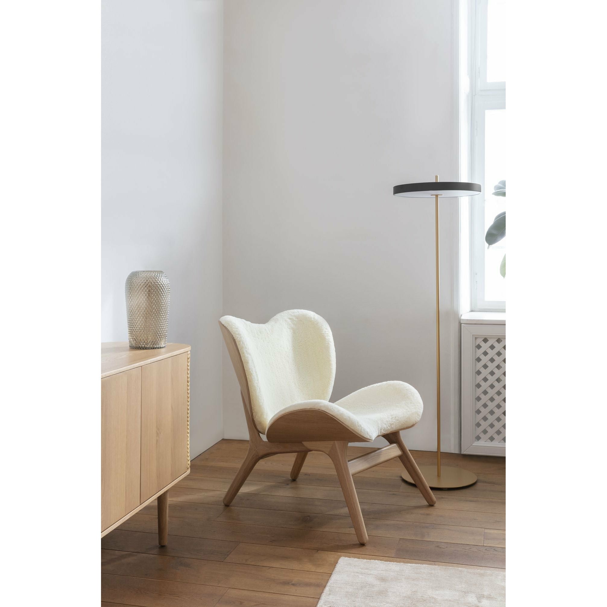 [product_category]-Umage Asteria Floor Lamp, Black-Umage-5710302023403-2340-UMA-3