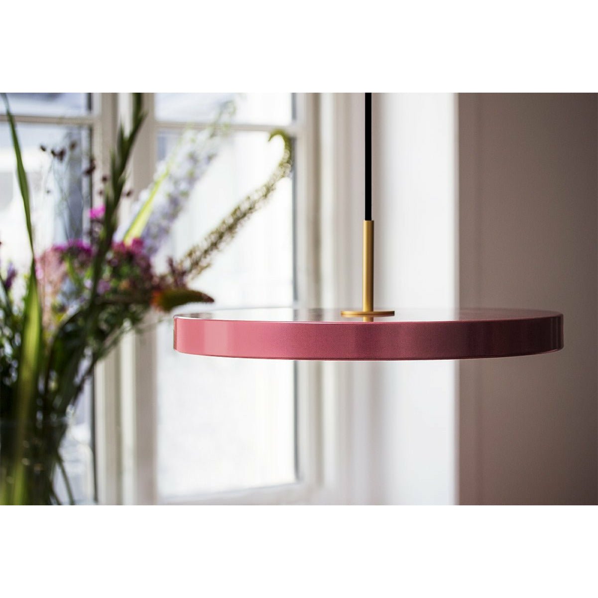 [product_category]-Umage Asteria Led Pendant, Brass/Nuance Rose-Umage-5710302024226-2422-UMA-1