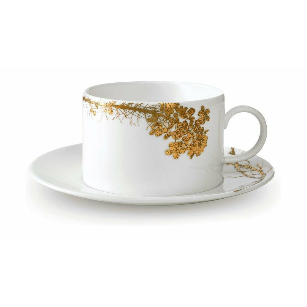 [product_category]-Wedgwood Vera Wang Jardin Teacup 0,25 L & Saucer, White/Gold-Wedgwood-701587394086-40033722-WED-1
