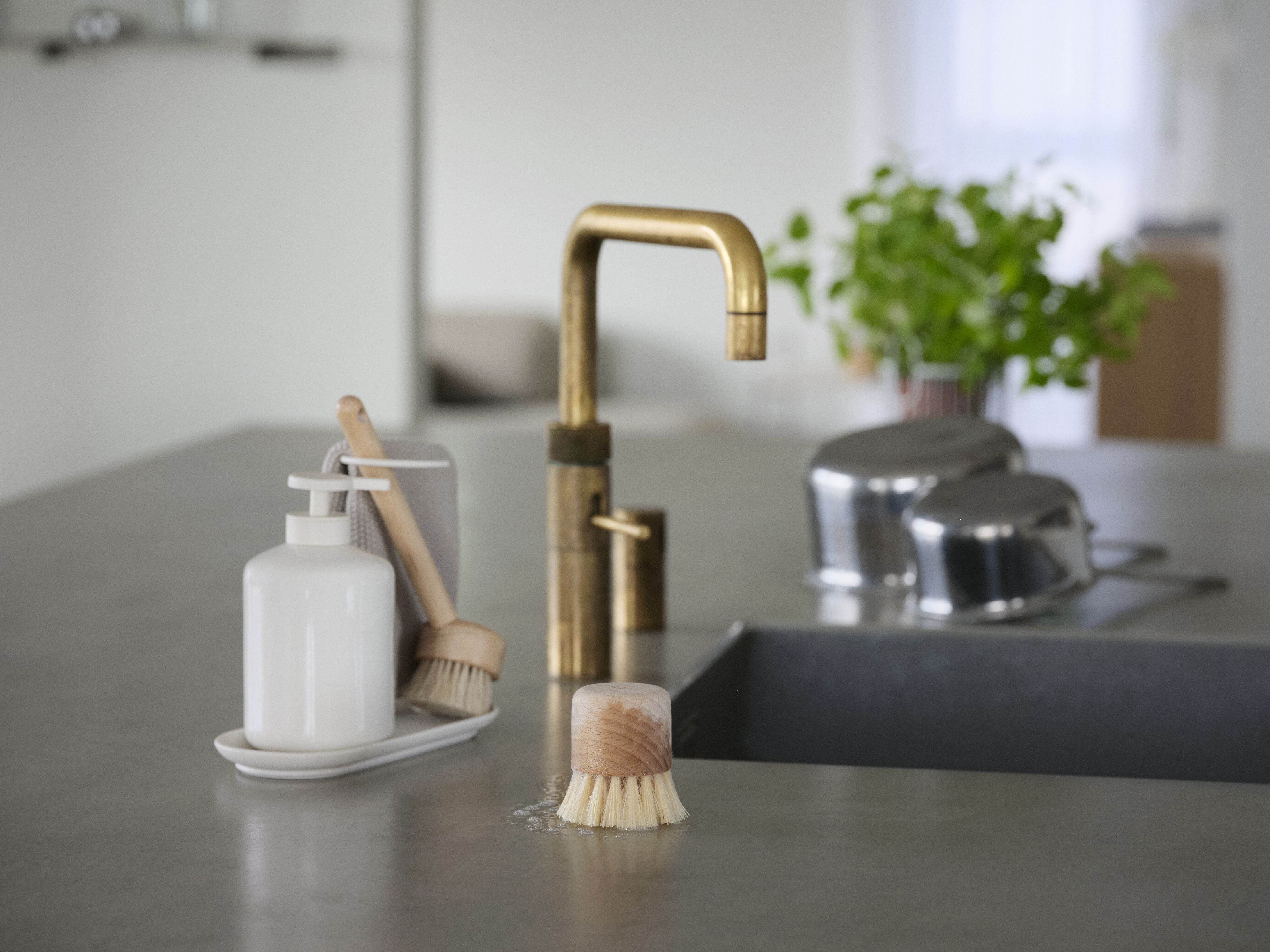 [product_category]-Zone Denmark Inu Pot Brush Beech-Zone Denmark-5722000297222-29722-ZON-5