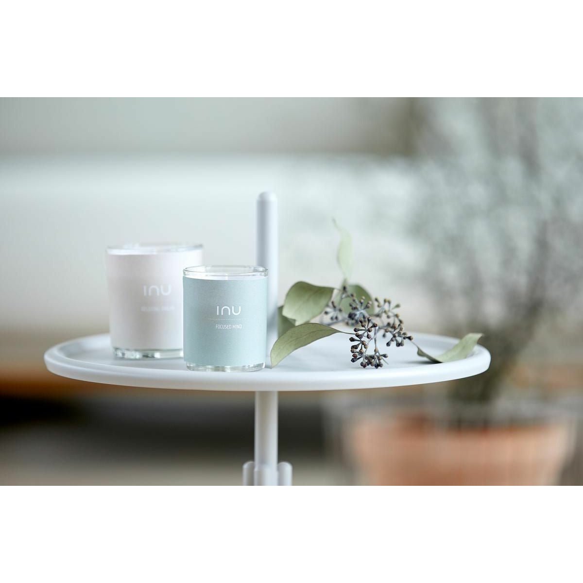 Zone Denmark Inu Scented Candle Focused Mind, ø 6.2 Cm