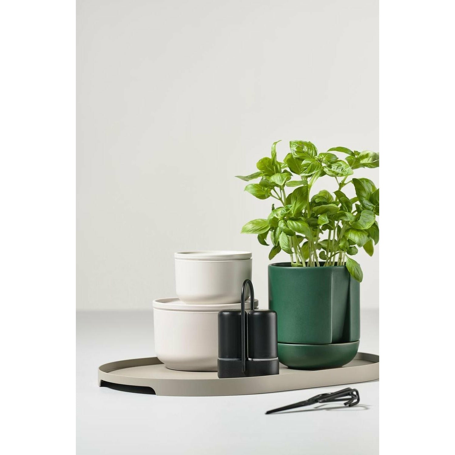 [product_category]-Zone Denmark Singles Tray 35 X23 Cm, Mud-Zone Denmark-5722003320927-332092-ZON-4